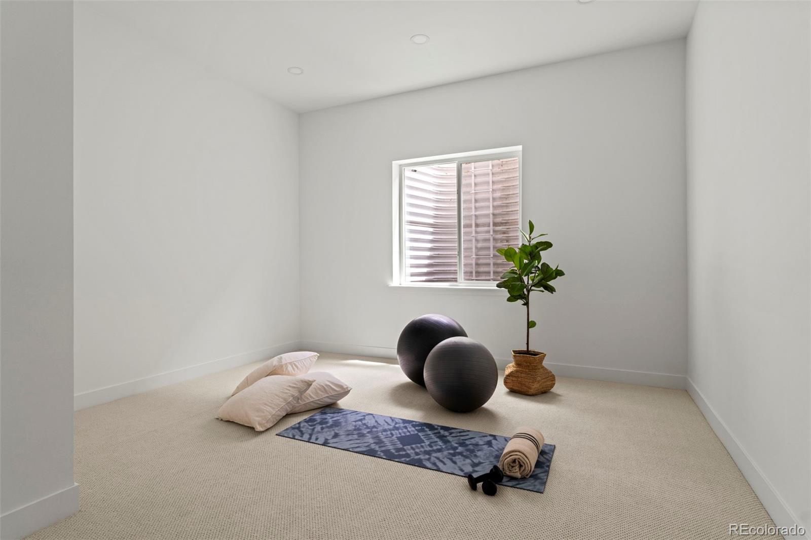 MLS Image #34 for 171 s dexter street,denver, Colorado