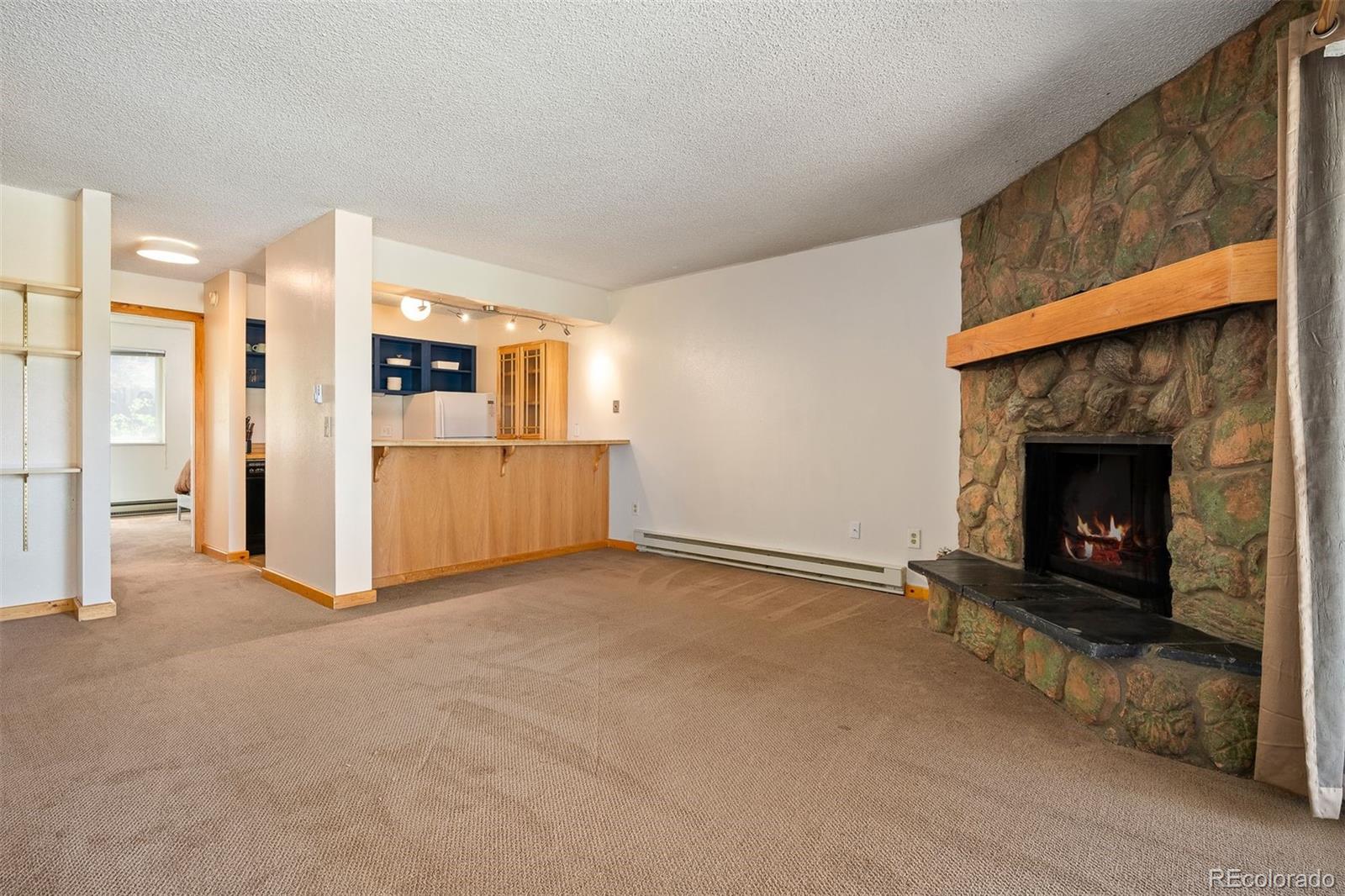 MLS Image #11 for 76 e meadow mile ,fraser, Colorado
