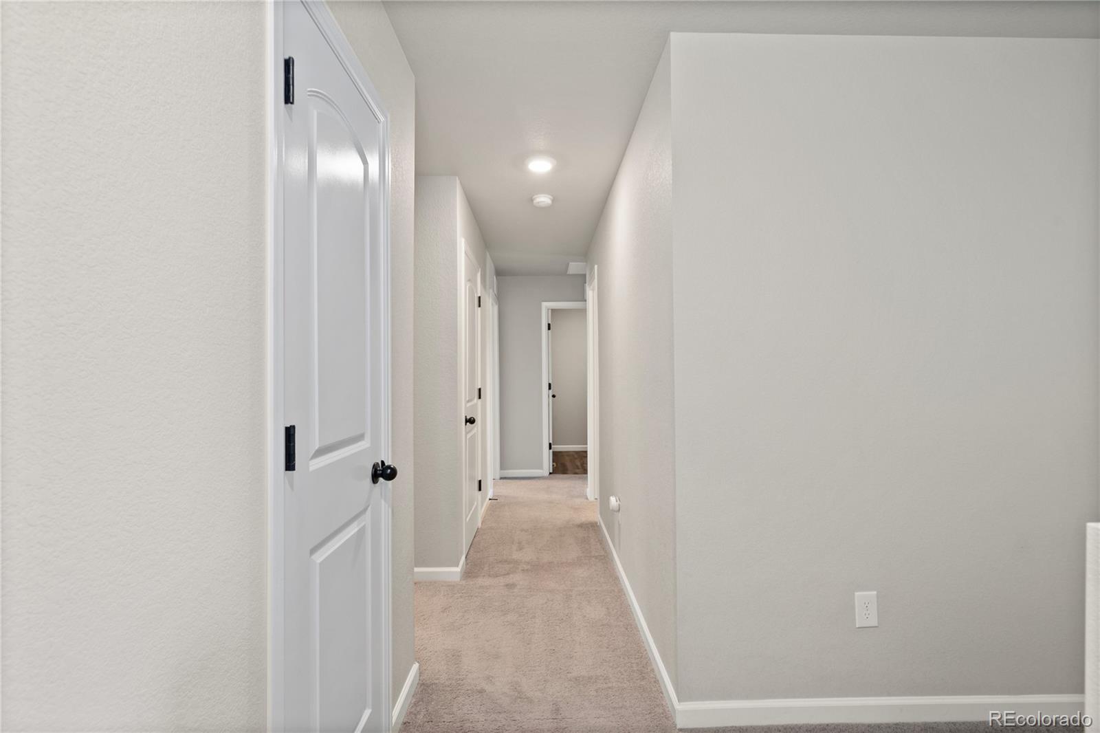 MLS Image #29 for 5297  blue lunar lane,castle rock, Colorado
