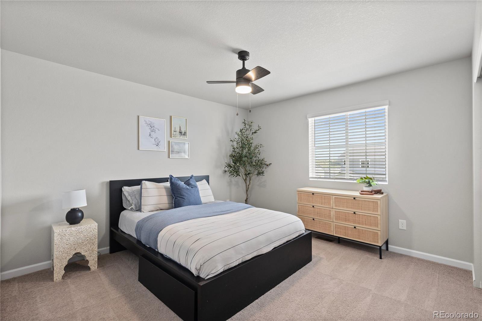 MLS Image #30 for 5297  blue lunar lane,castle rock, Colorado