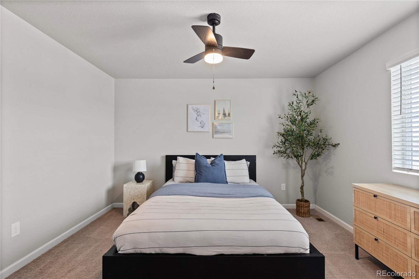 MLS Image #31 for 5297  blue lunar lane,castle rock, Colorado