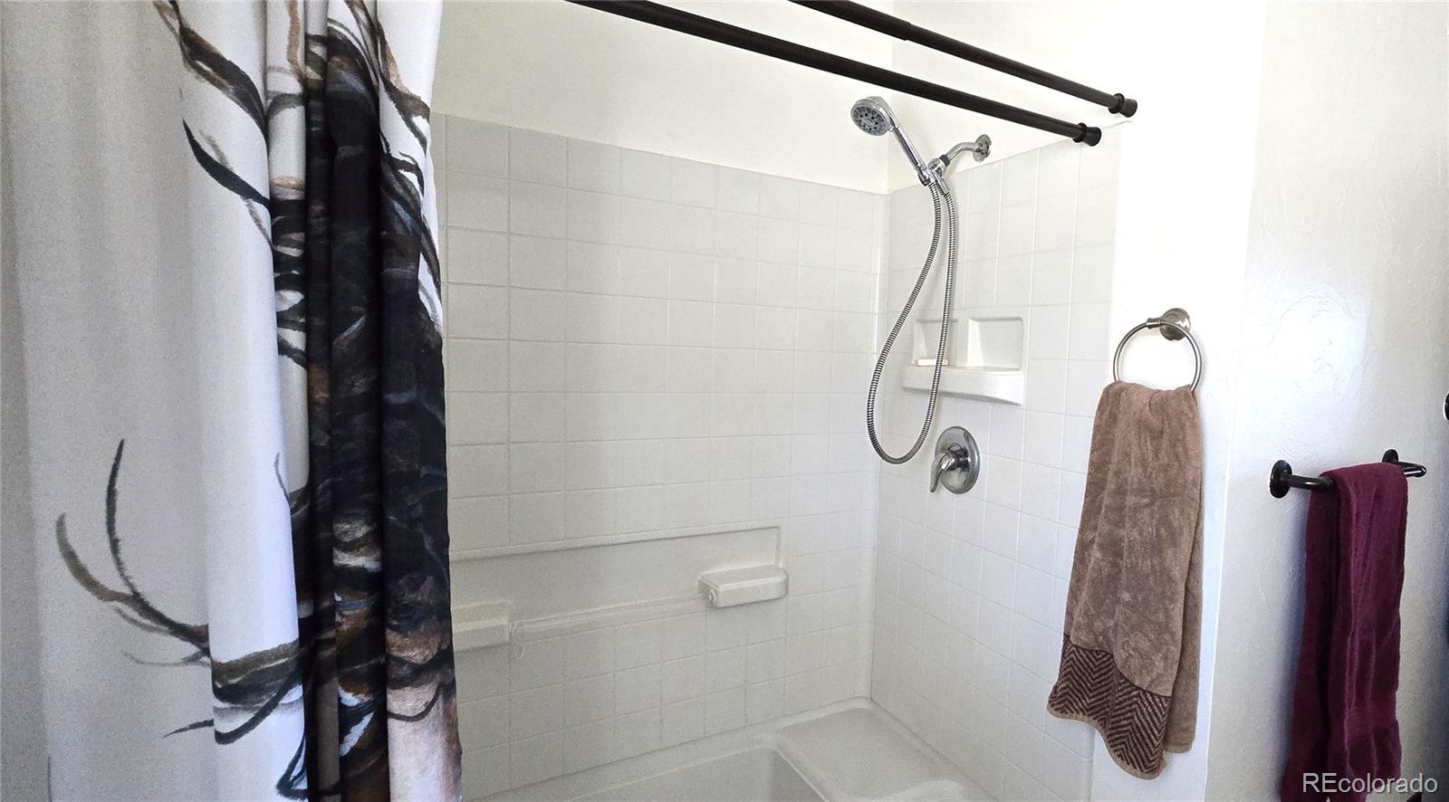 MLS Image #14 for 2738  elk park road,san luis, Colorado