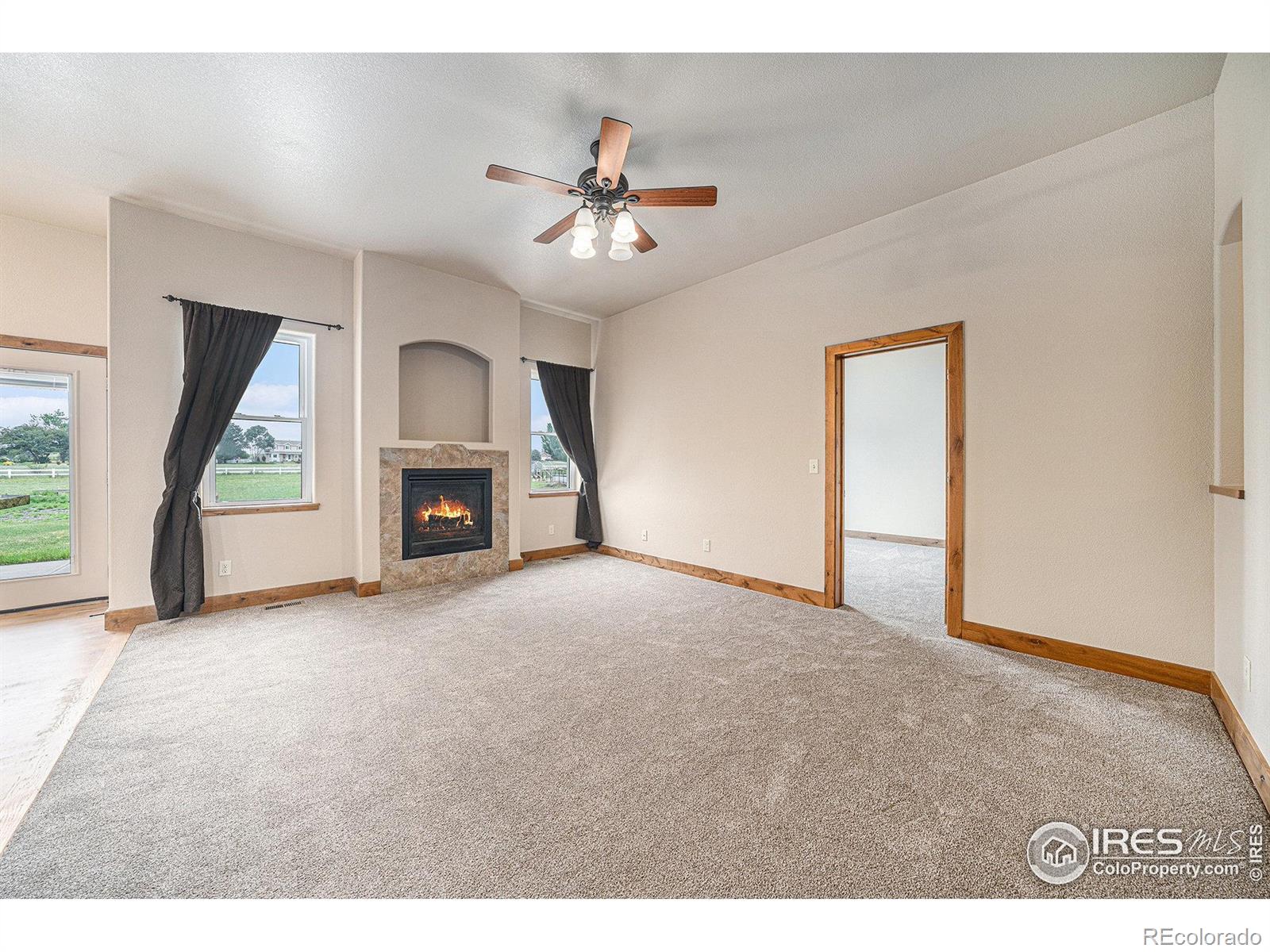 MLS Image #10 for 20199  leola way,eaton, Colorado