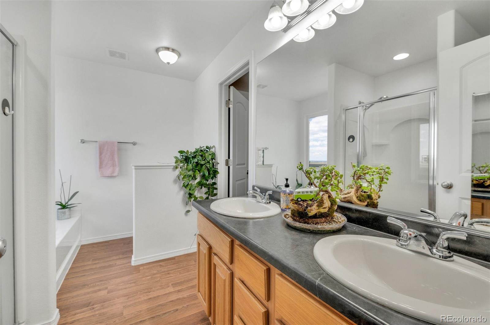 MLS Image #21 for 905  engleby drive,colorado springs, Colorado