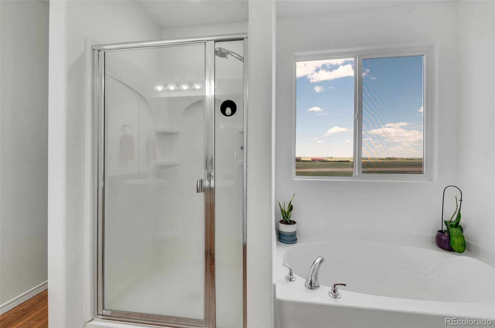 MLS Image #22 for 905  engleby drive,colorado springs, Colorado