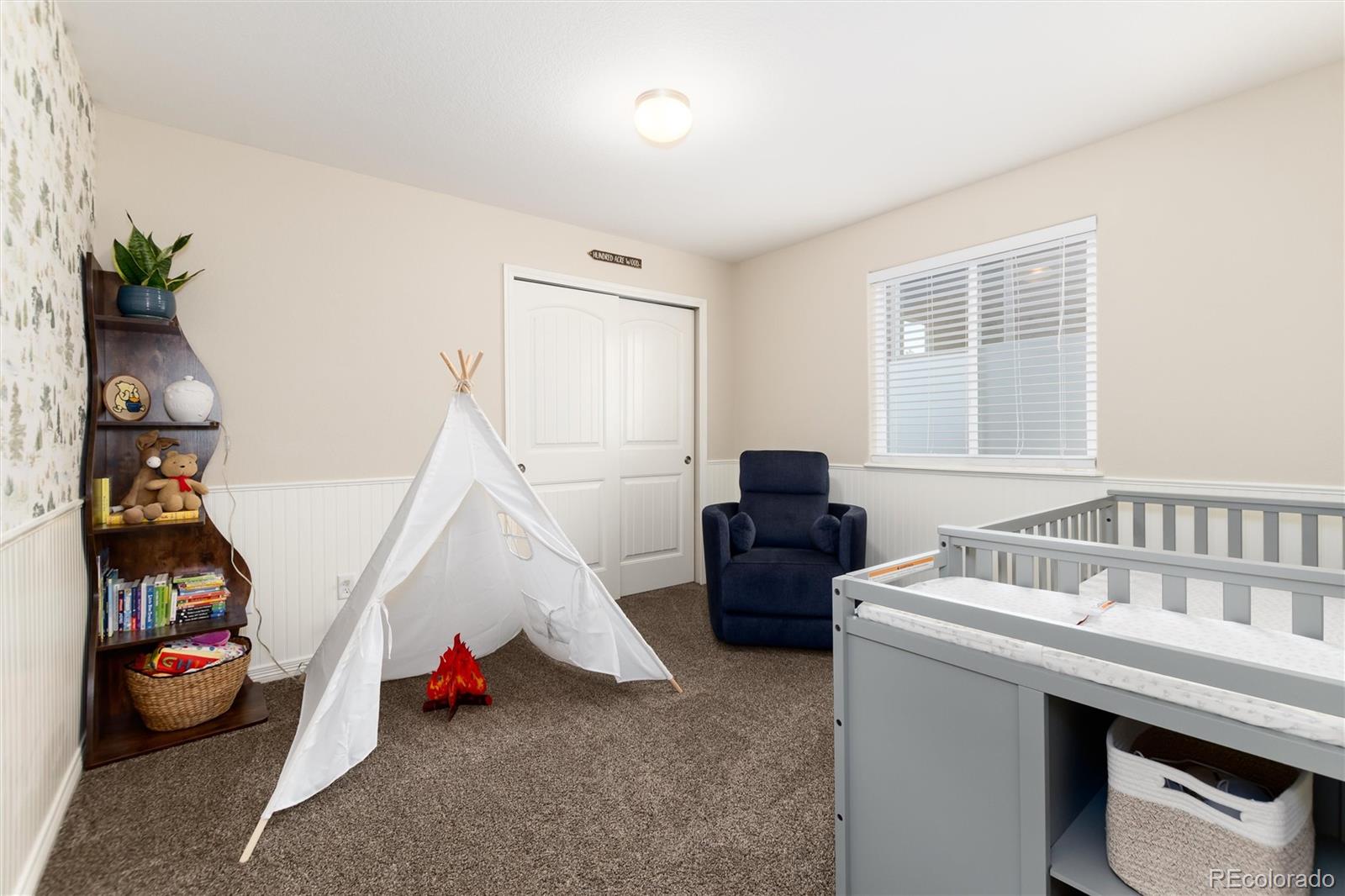 MLS Image #16 for 2746  stallion way,mead, Colorado