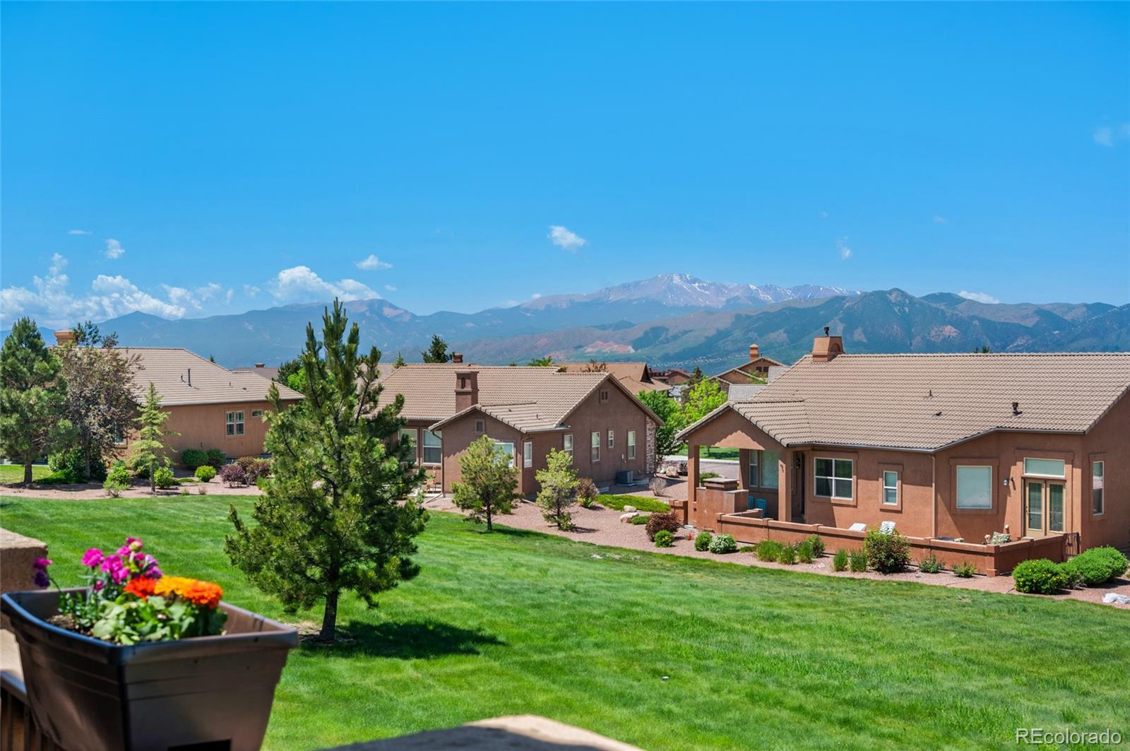 MLS Image #12 for 13901  penfold drive,colorado springs, Colorado