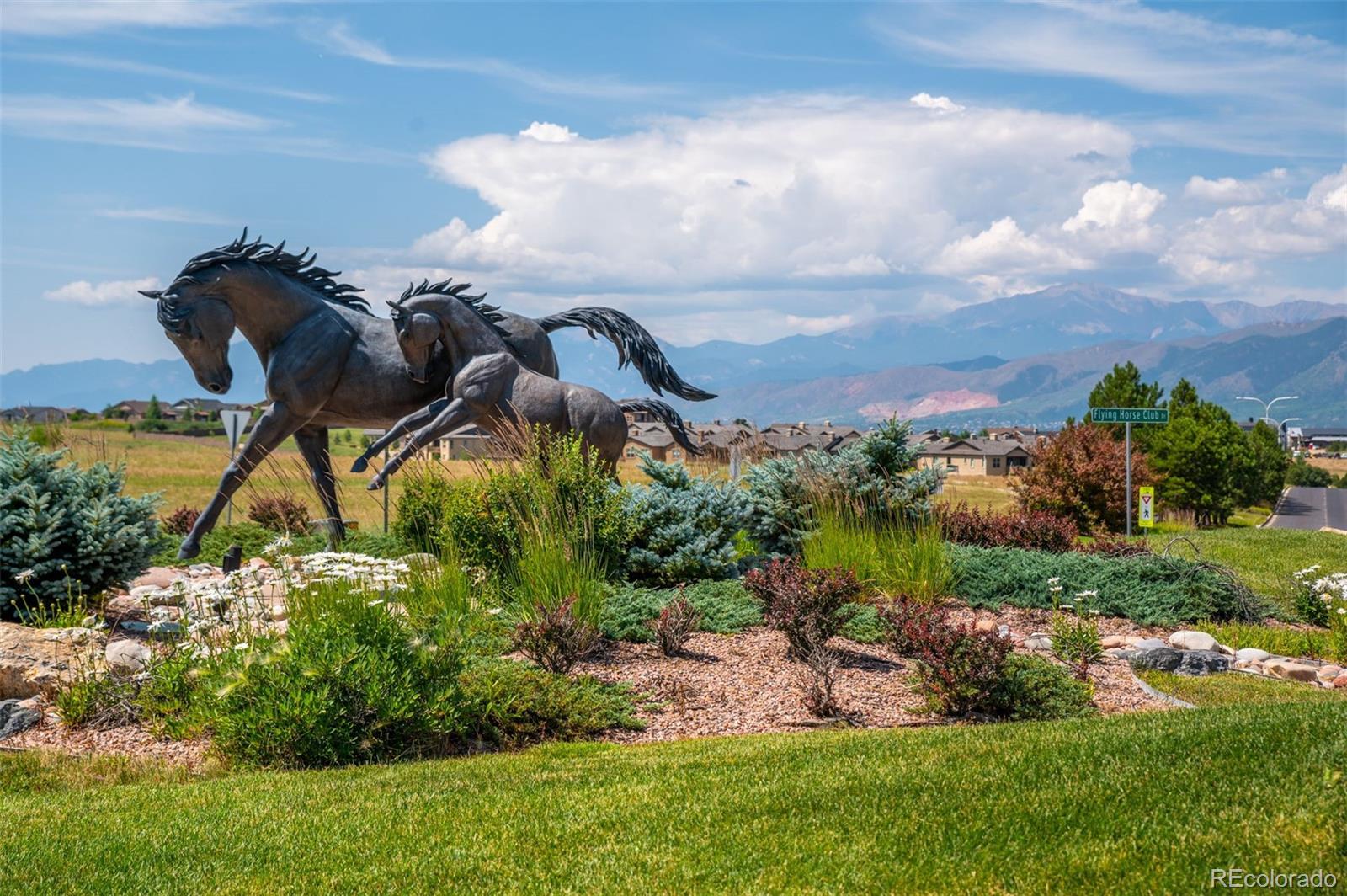 MLS Image #39 for 13901  penfold drive,colorado springs, Colorado