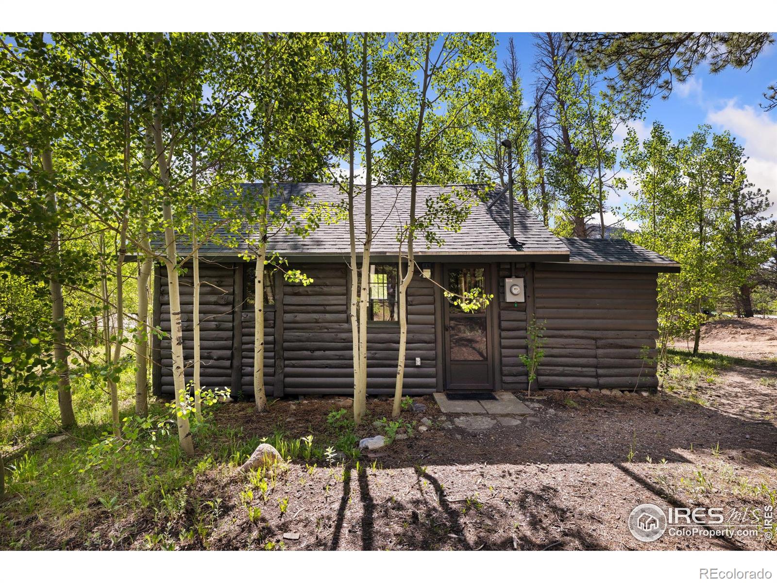 MLS Image #26 for 11614  peak to peak highway,allenspark, Colorado