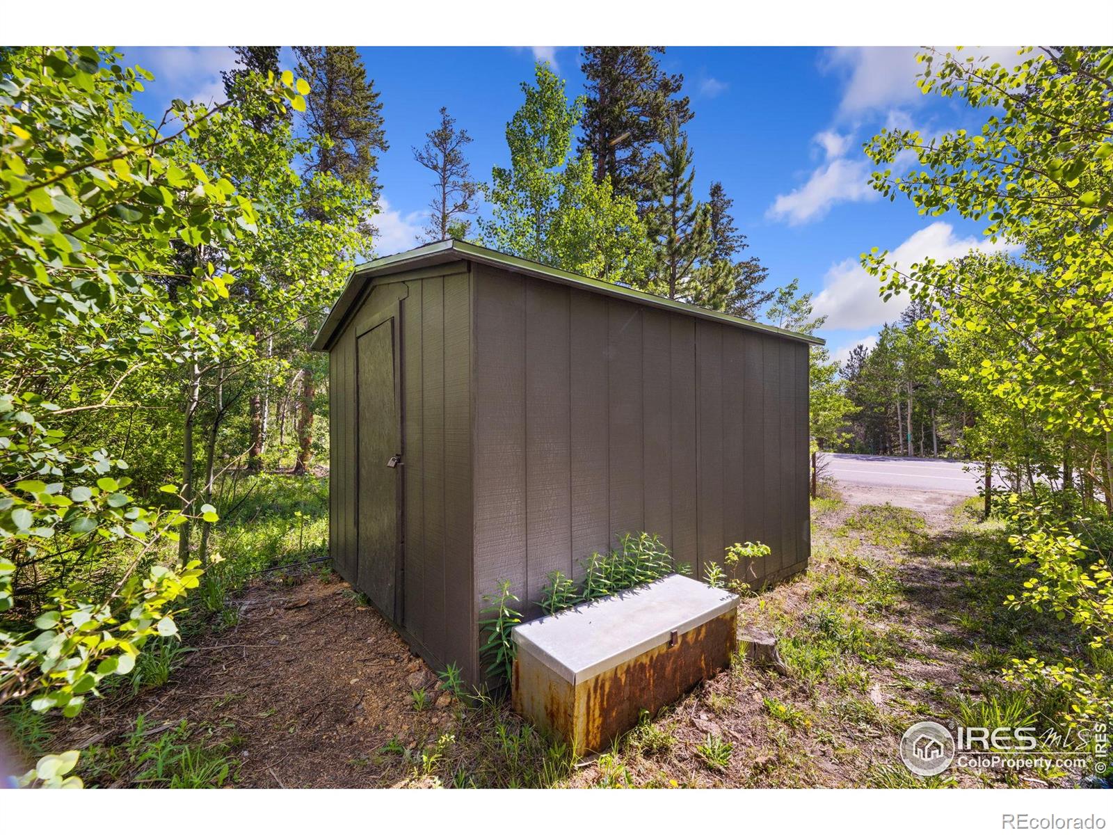 MLS Image #28 for 11614  peak to peak highway,allenspark, Colorado