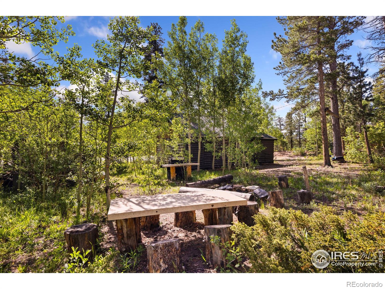 MLS Image #29 for 11614  peak to peak highway,allenspark, Colorado