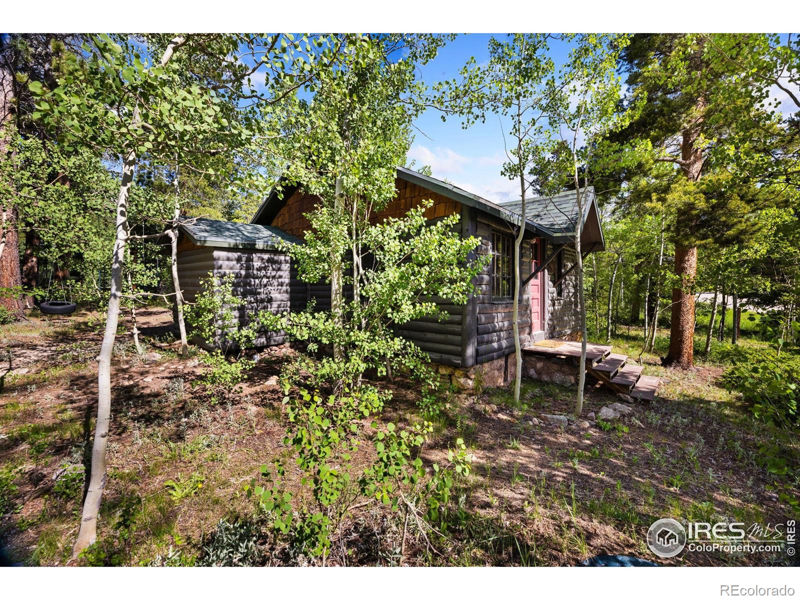 MLS Image #3 for 11614  peak to peak highway,allenspark, Colorado