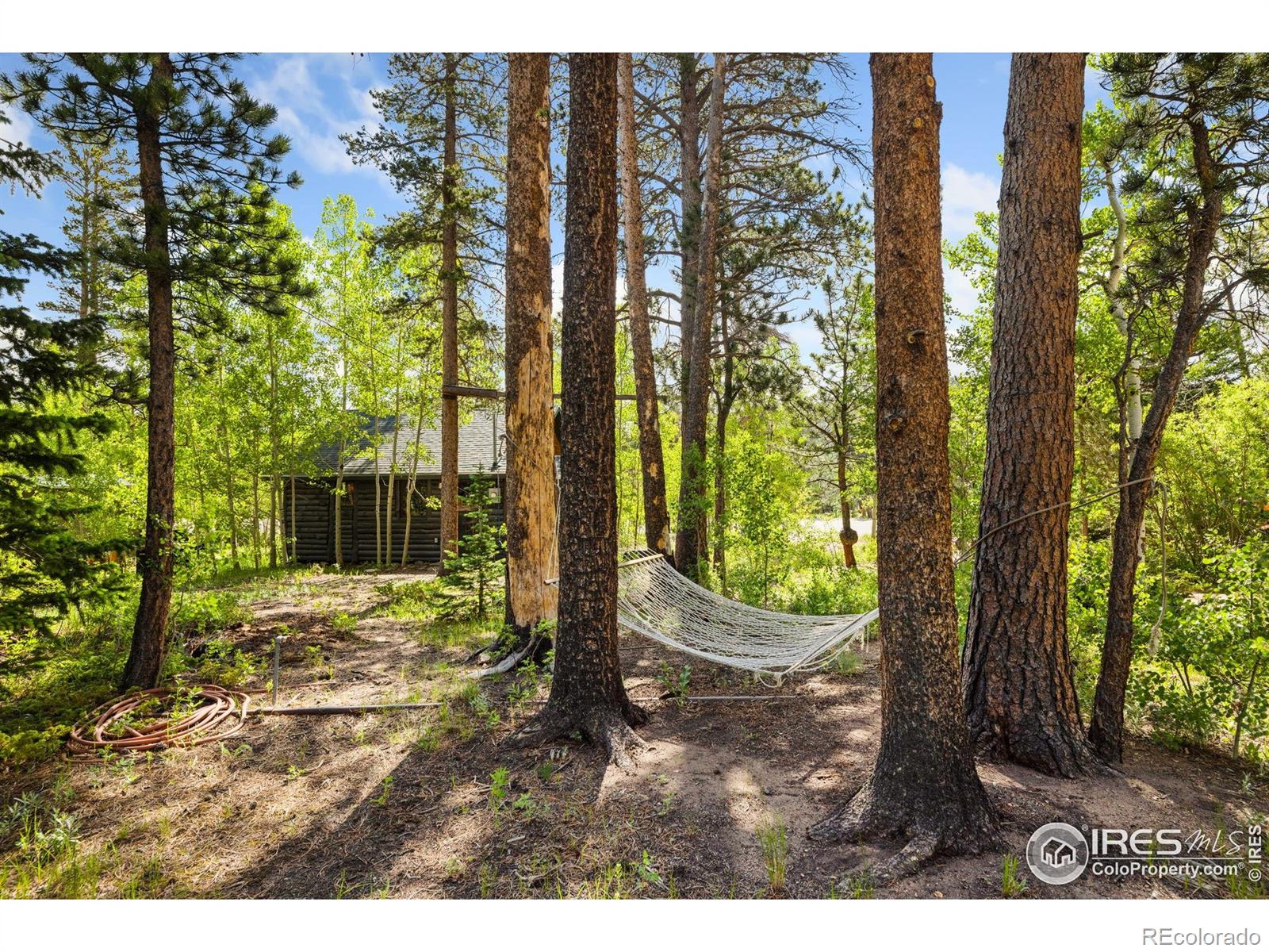 MLS Image #30 for 11614  peak to peak highway,allenspark, Colorado