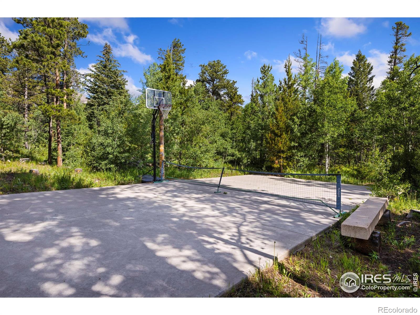MLS Image #31 for 11614  peak to peak highway,allenspark, Colorado