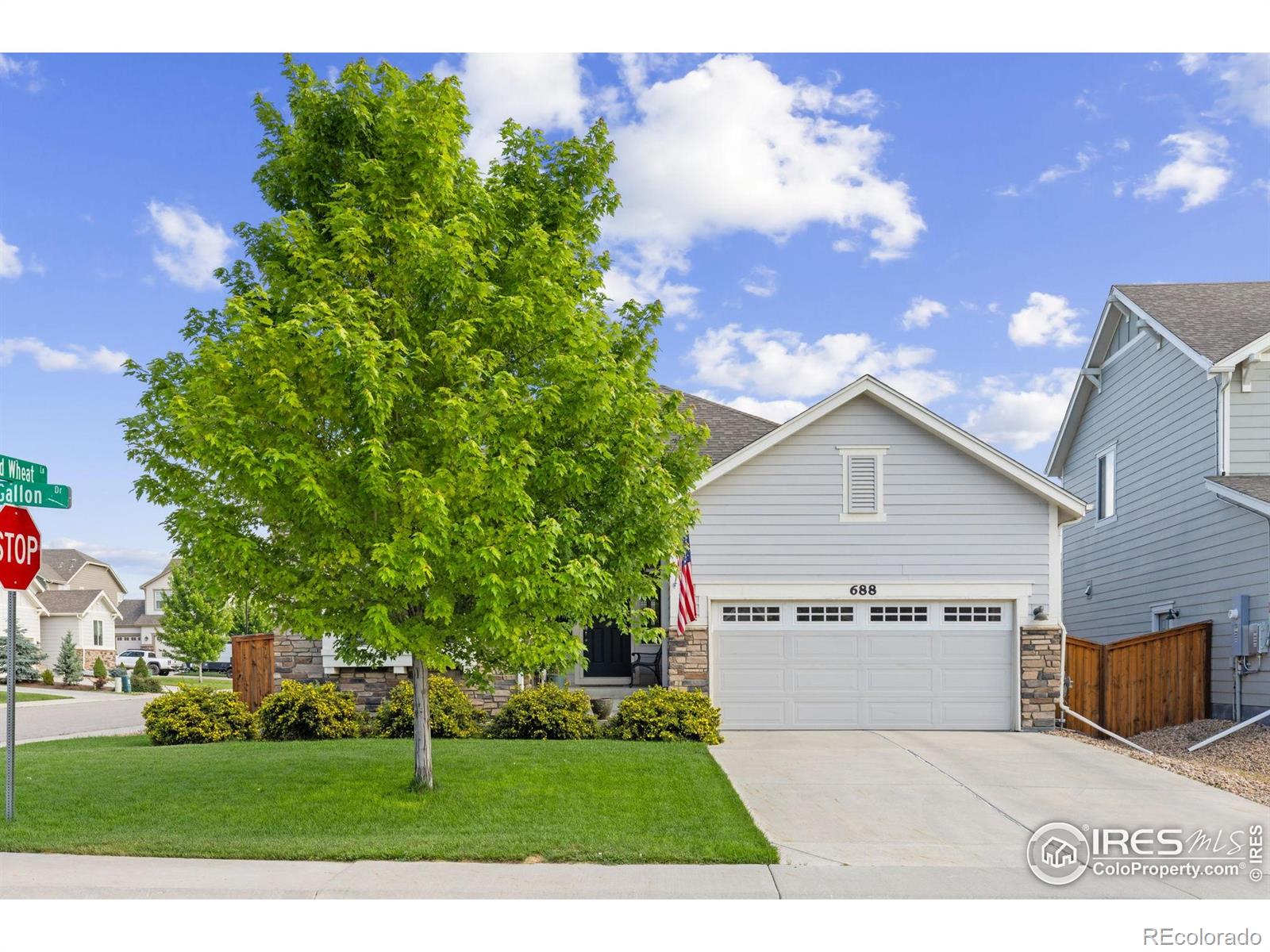 MLS Image #3 for 688  ten gallon drive,berthoud, Colorado