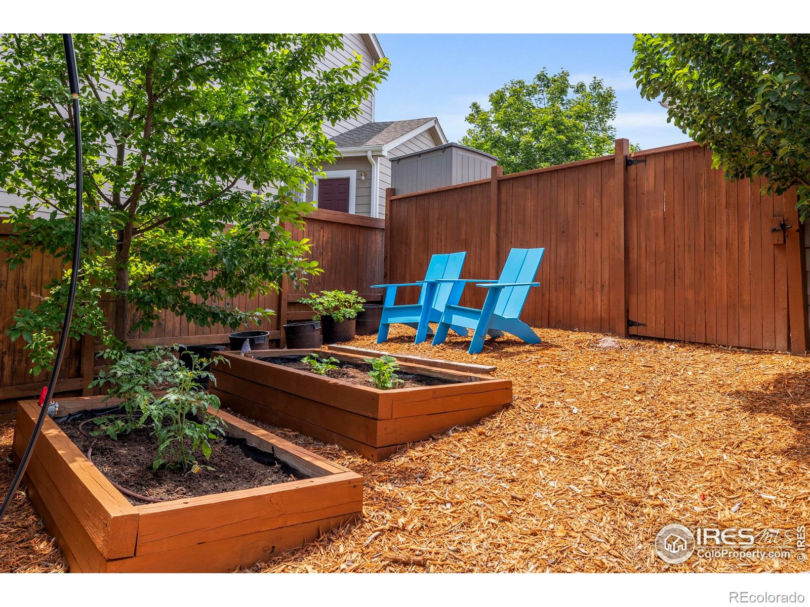 MLS Image #32 for 5208  keystone creek court,fort collins, Colorado