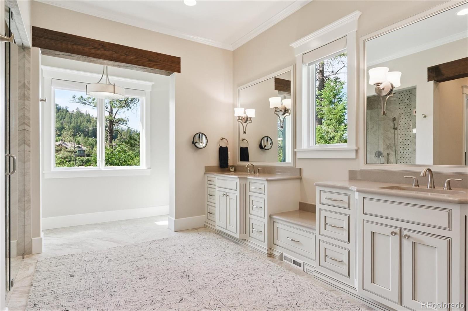 MLS Image #14 for 964  westchester circle,castle rock, Colorado