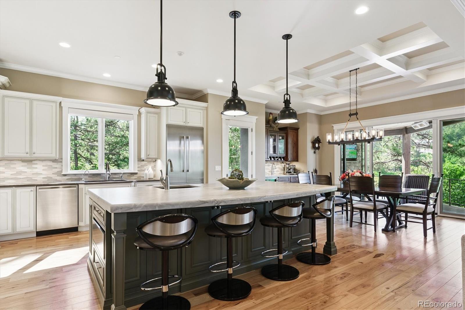 MLS Image #7 for 964  westchester circle,castle rock, Colorado