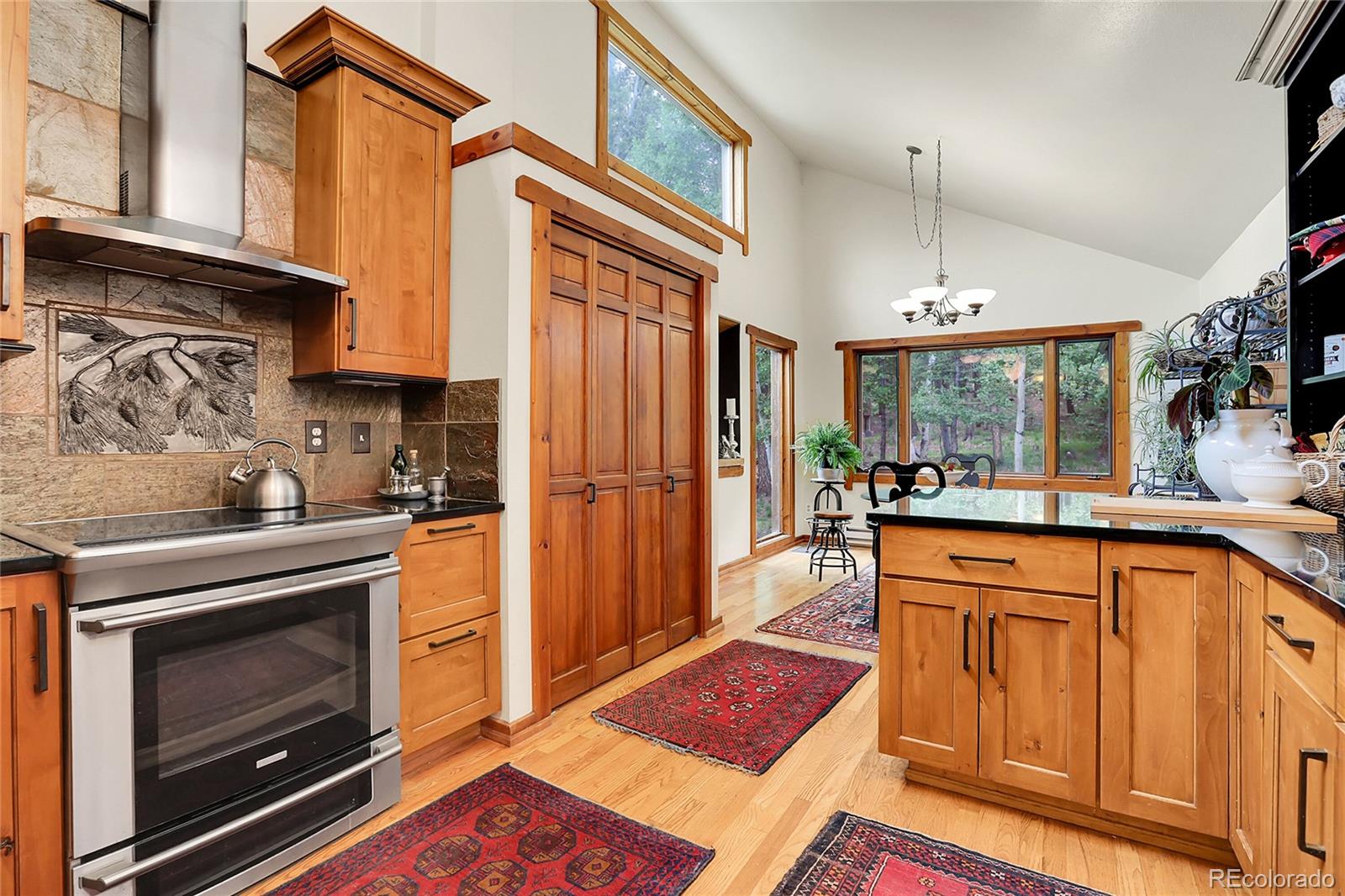 MLS Image #12 for 30122  nancys lane,conifer, Colorado