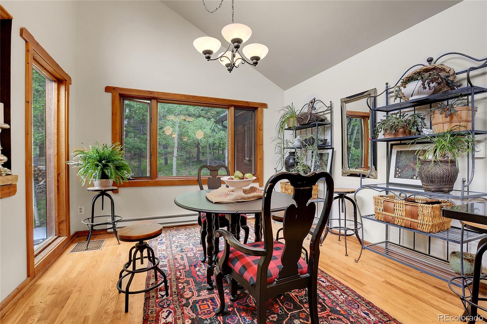 MLS Image #13 for 30122  nancys lane,conifer, Colorado