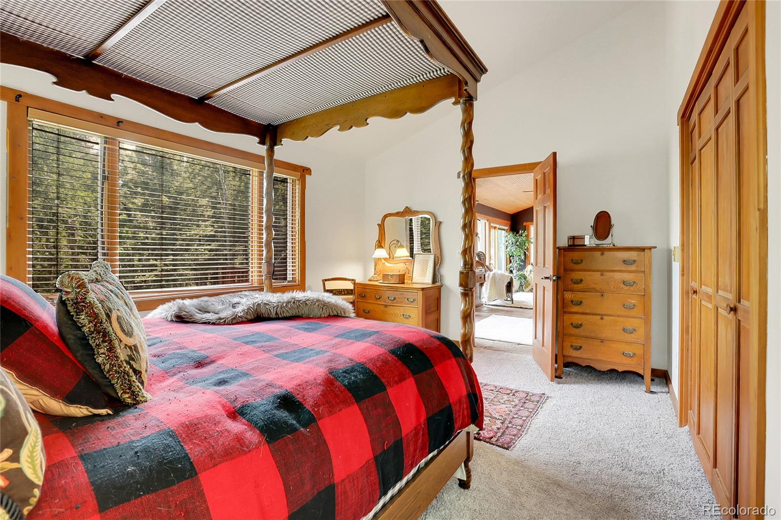 MLS Image #27 for 30122  nancys lane,conifer, Colorado