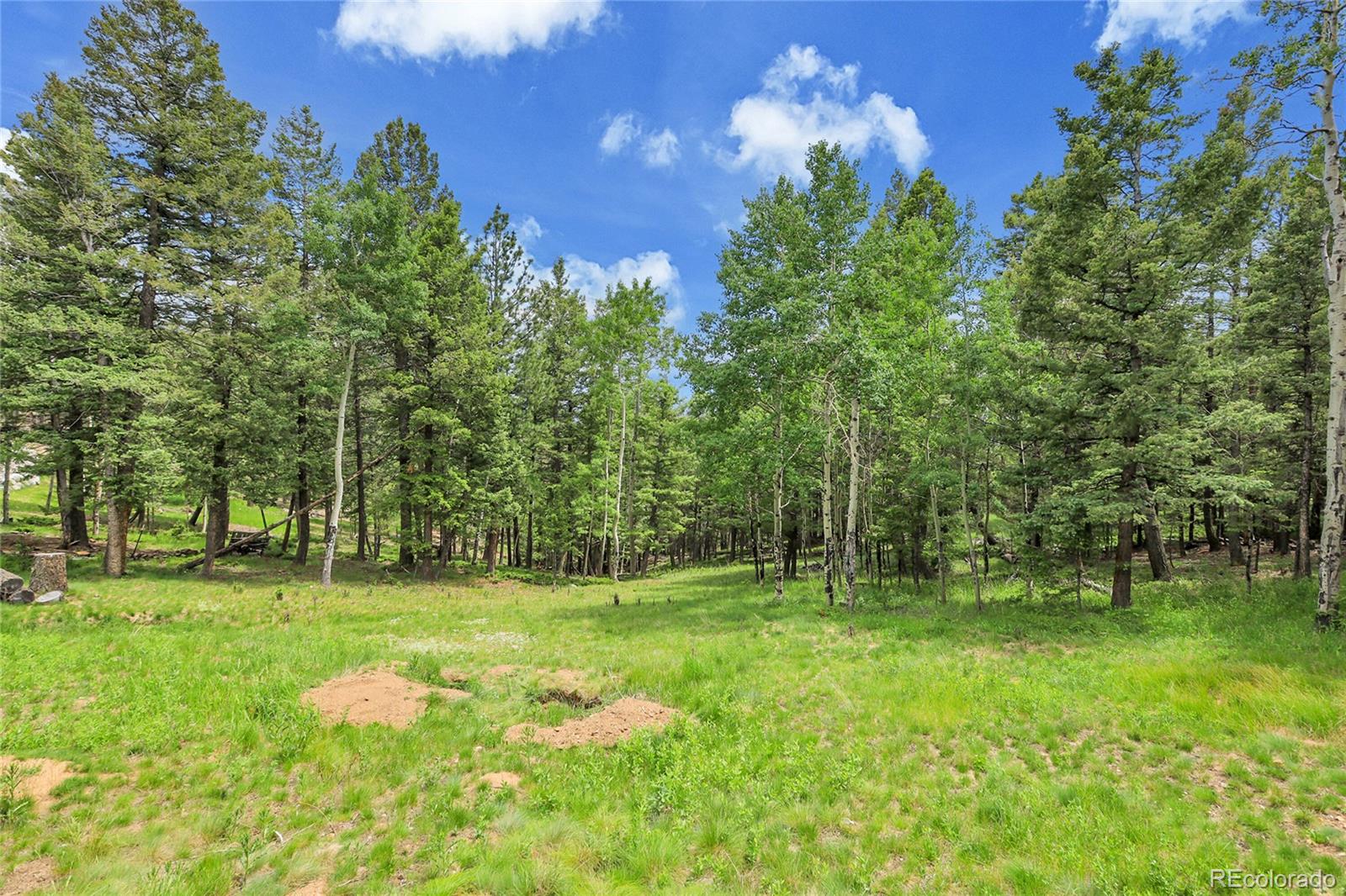 MLS Image #4 for 30122  nancys lane,conifer, Colorado