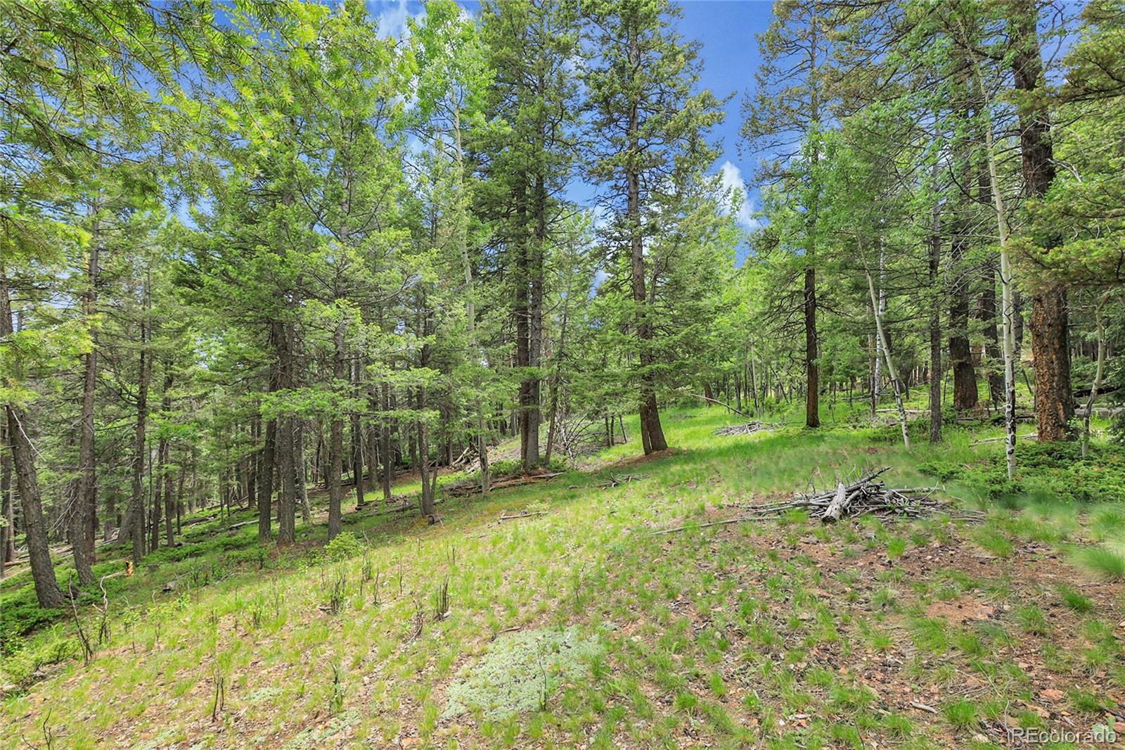 MLS Image #43 for 30122  nancys lane,conifer, Colorado