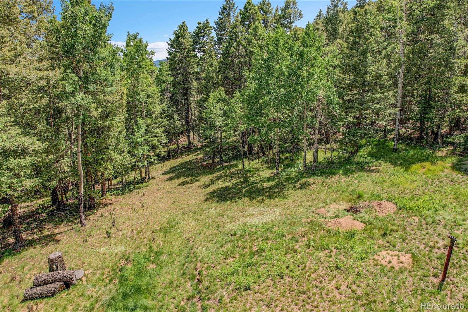 MLS Image #44 for 30122  nancys lane,conifer, Colorado