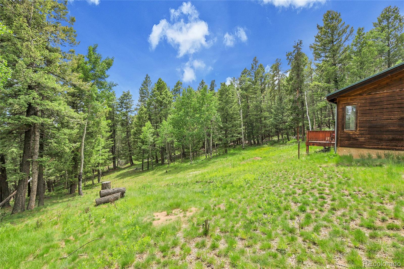 MLS Image #5 for 30122  nancys lane,conifer, Colorado