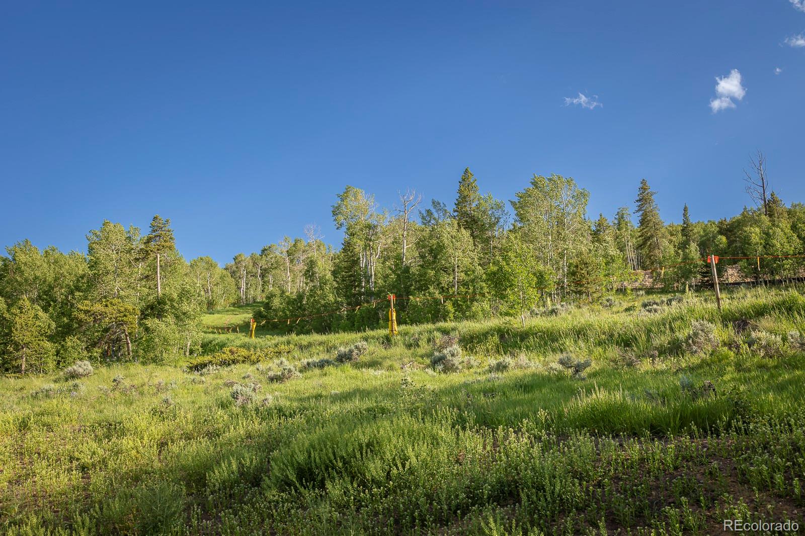 MLS Image #37 for 142  saddle mountain camp road,granby, Colorado