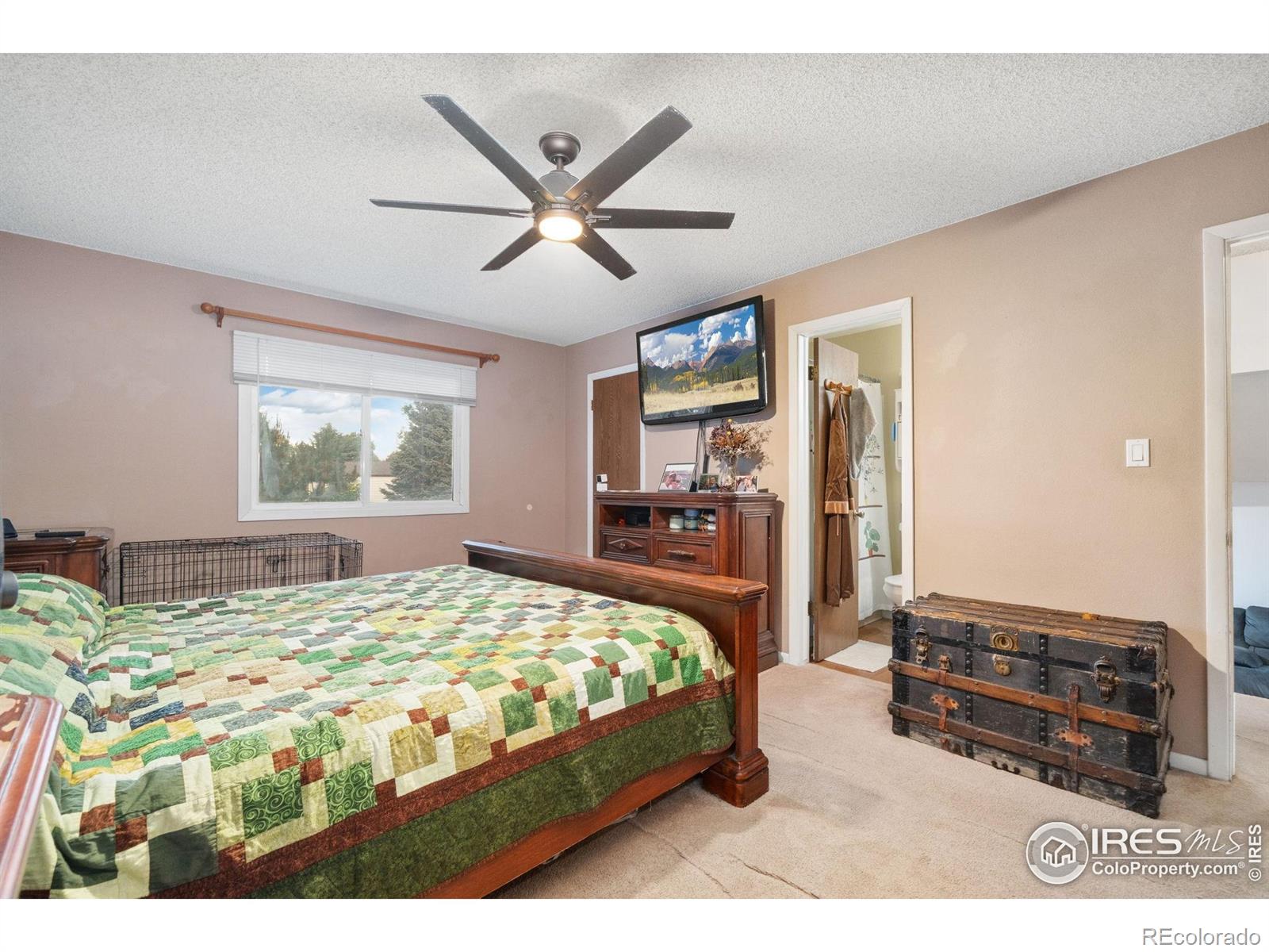MLS Image #13 for 3920  windom street,fort collins, Colorado