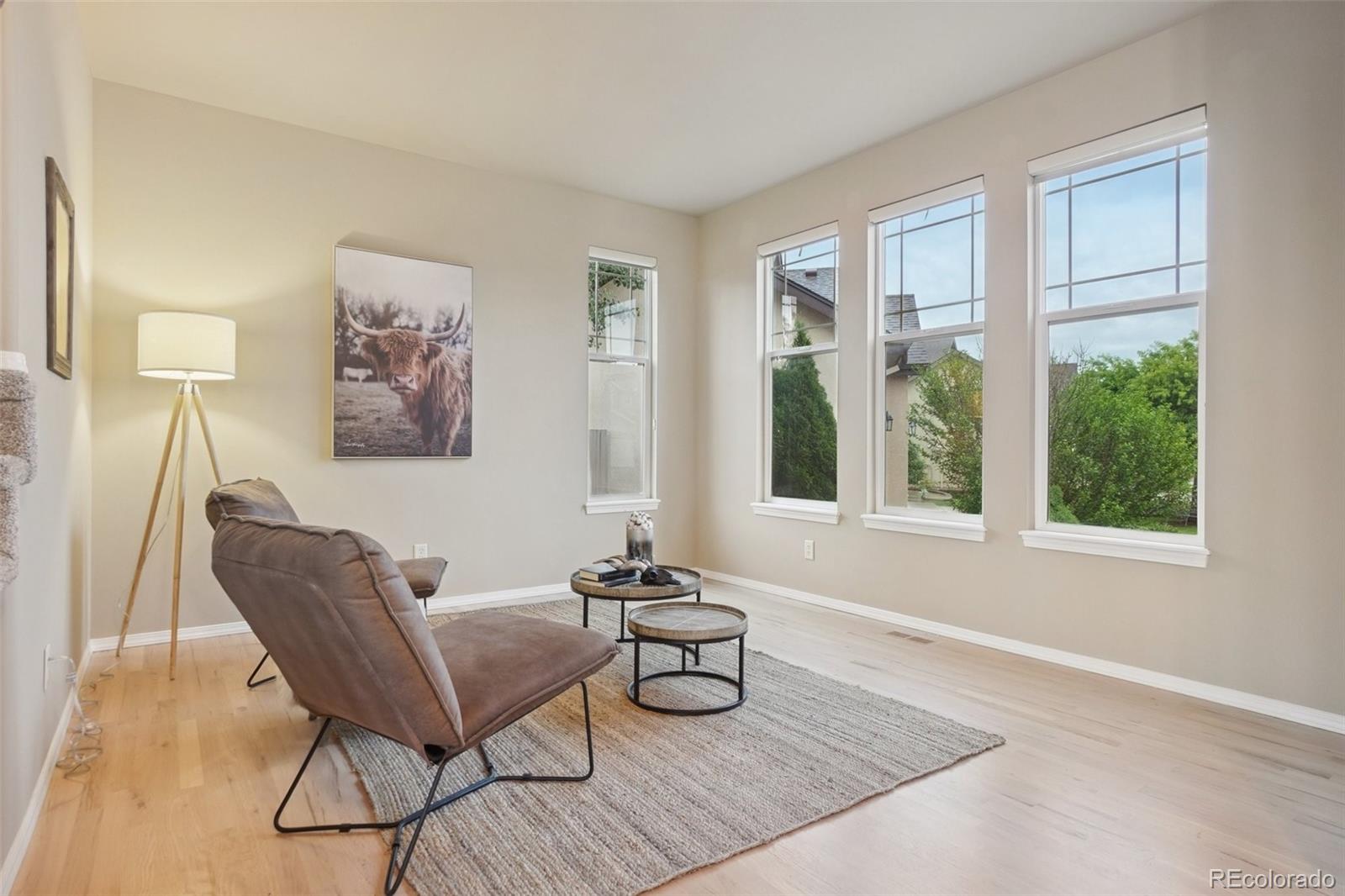MLS Image #5 for 10725  black elk way,colorado springs, Colorado
