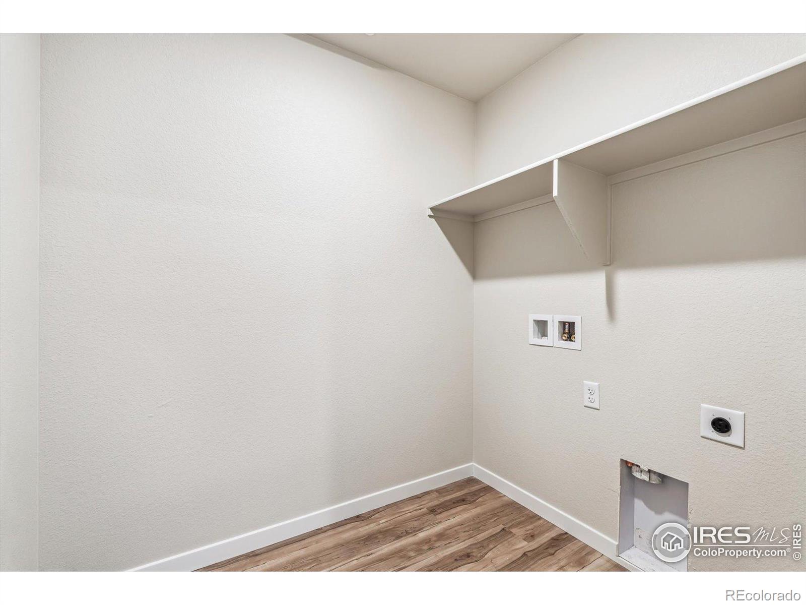 MLS Image #5 for 4427  shivaree street,timnath, Colorado