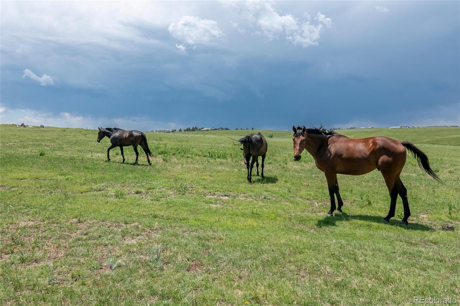 MLS Image #10 for 9491  county road 134 ,kiowa, Colorado