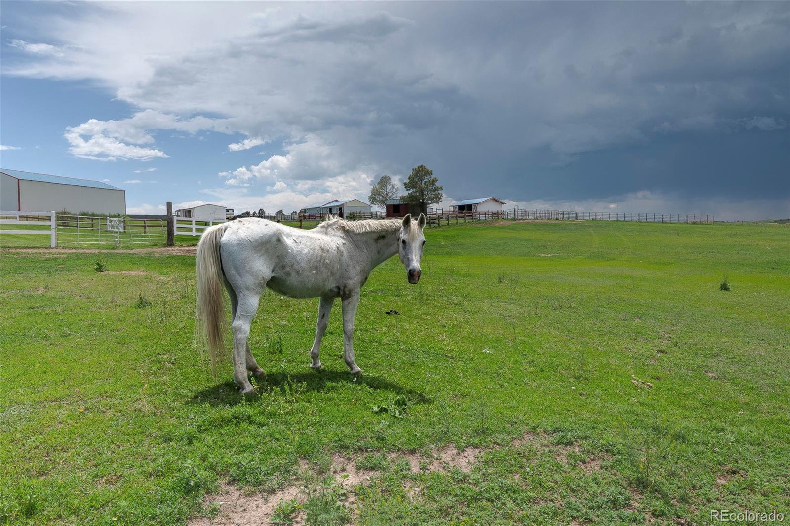 MLS Image #11 for 9491  county road 134 ,kiowa, Colorado