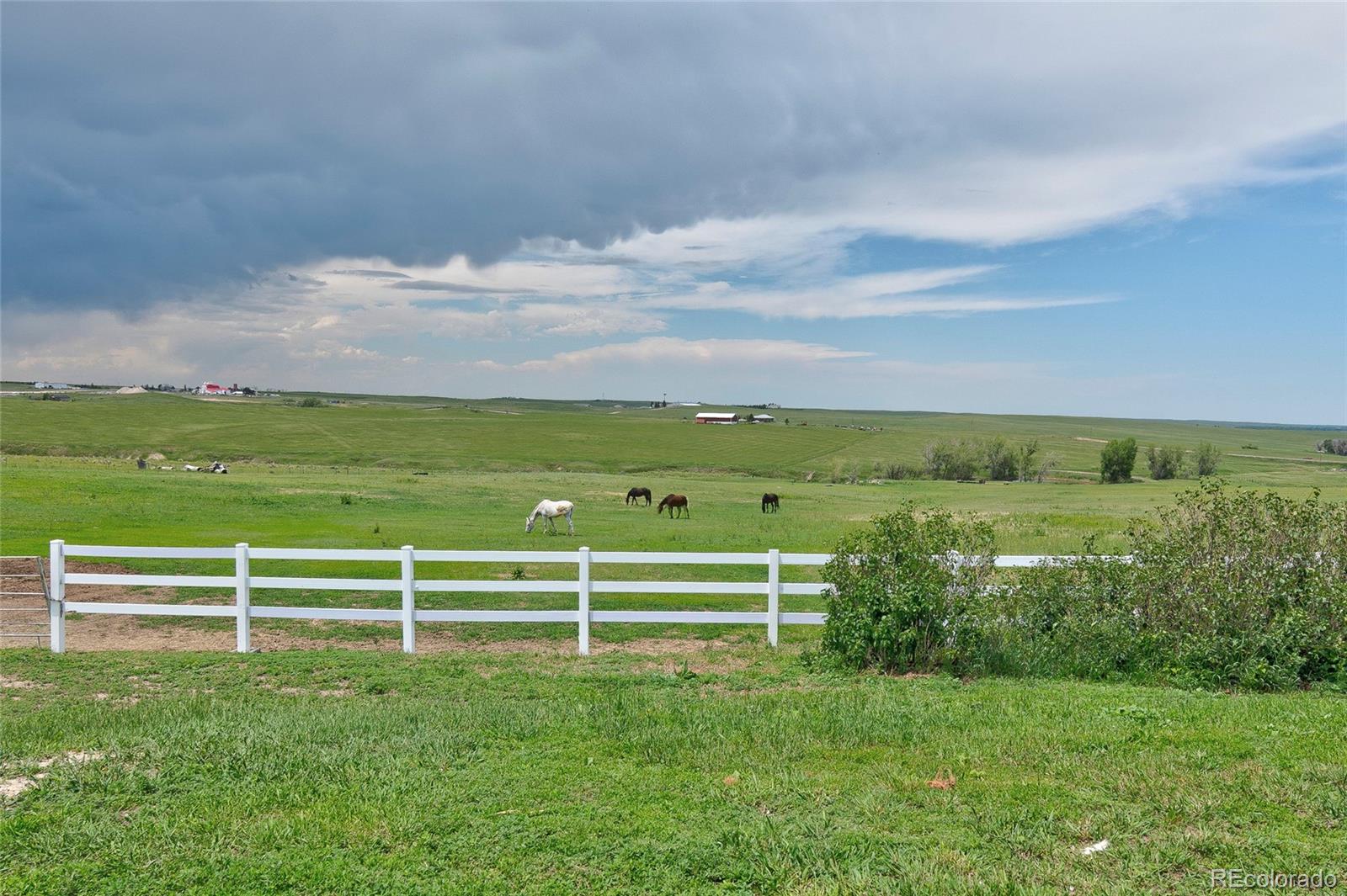 MLS Image #16 for 9491  county road 134 ,kiowa, Colorado