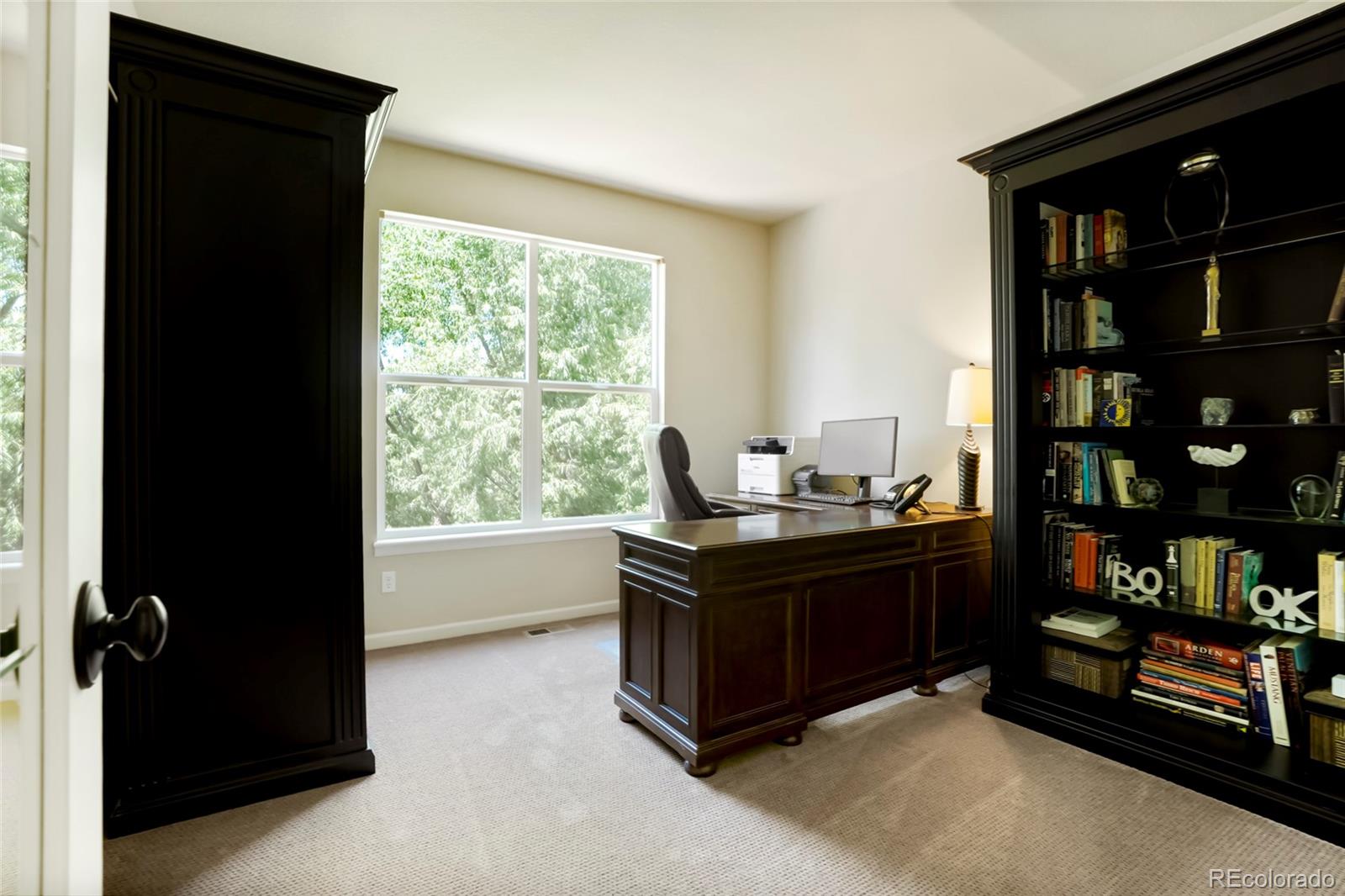 MLS Image #20 for 687  briar haven drive,castle pines, Colorado