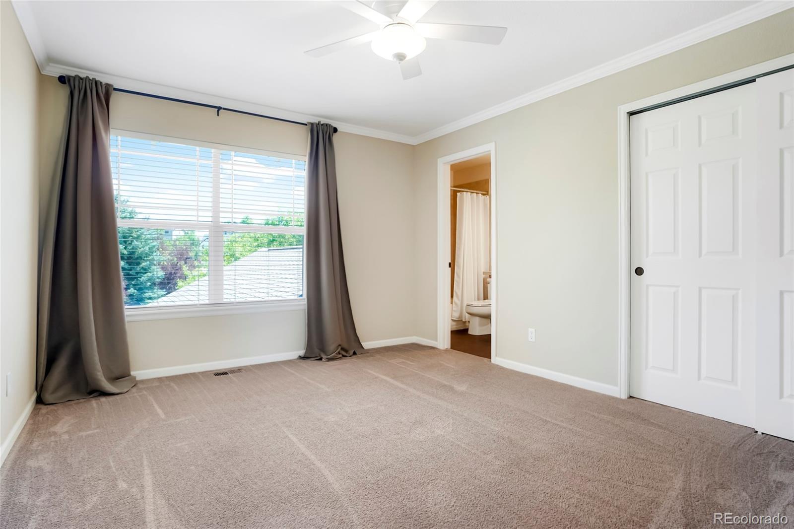 MLS Image #27 for 687  briar haven drive,castle pines, Colorado