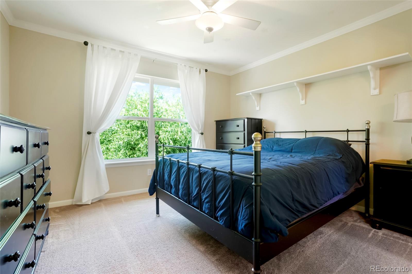 MLS Image #29 for 687  briar haven drive,castle pines, Colorado