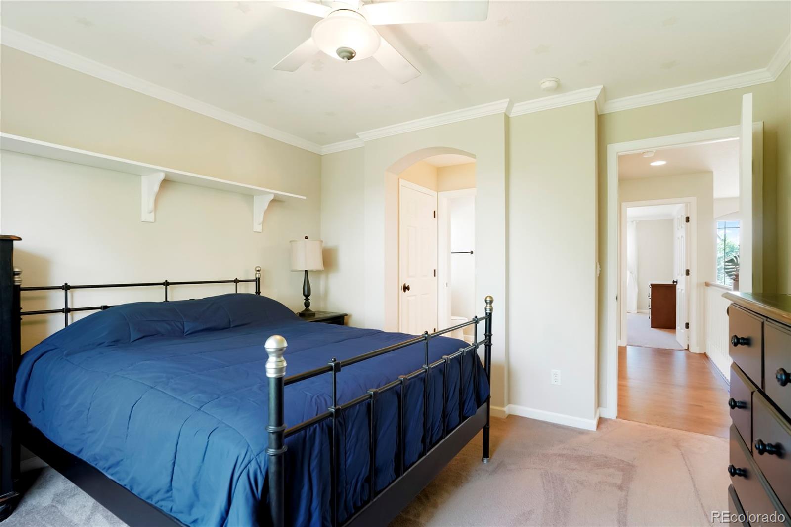 MLS Image #30 for 687  briar haven drive,castle pines, Colorado
