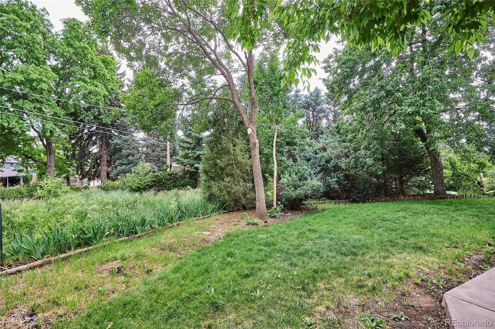 MLS Image #23 for 9036 w wisconsin avenue,lakewood, Colorado