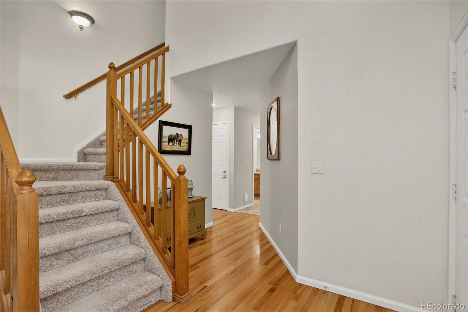 MLS Image #19 for 3556  buffalo avenue,broomfield, Colorado