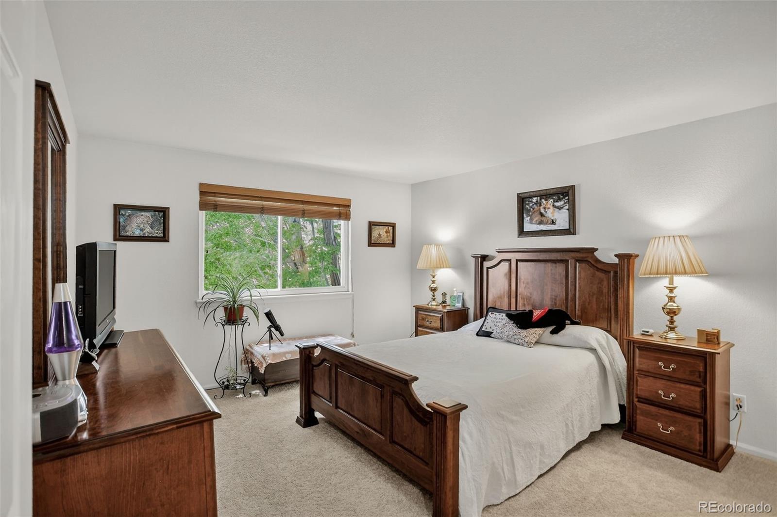 MLS Image #25 for 3556  buffalo avenue,broomfield, Colorado