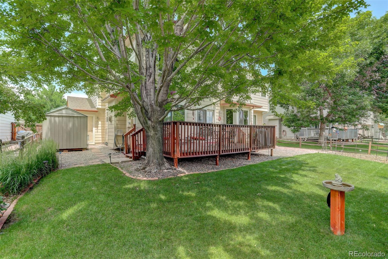 MLS Image #39 for 3556  buffalo avenue,broomfield, Colorado