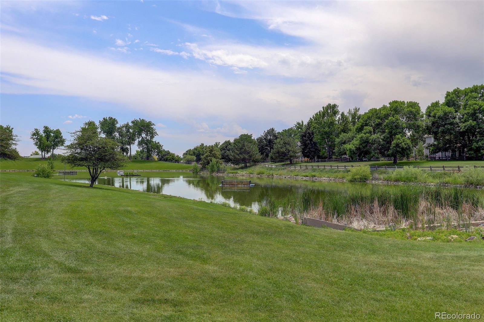 MLS Image #48 for 3556  buffalo avenue,broomfield, Colorado