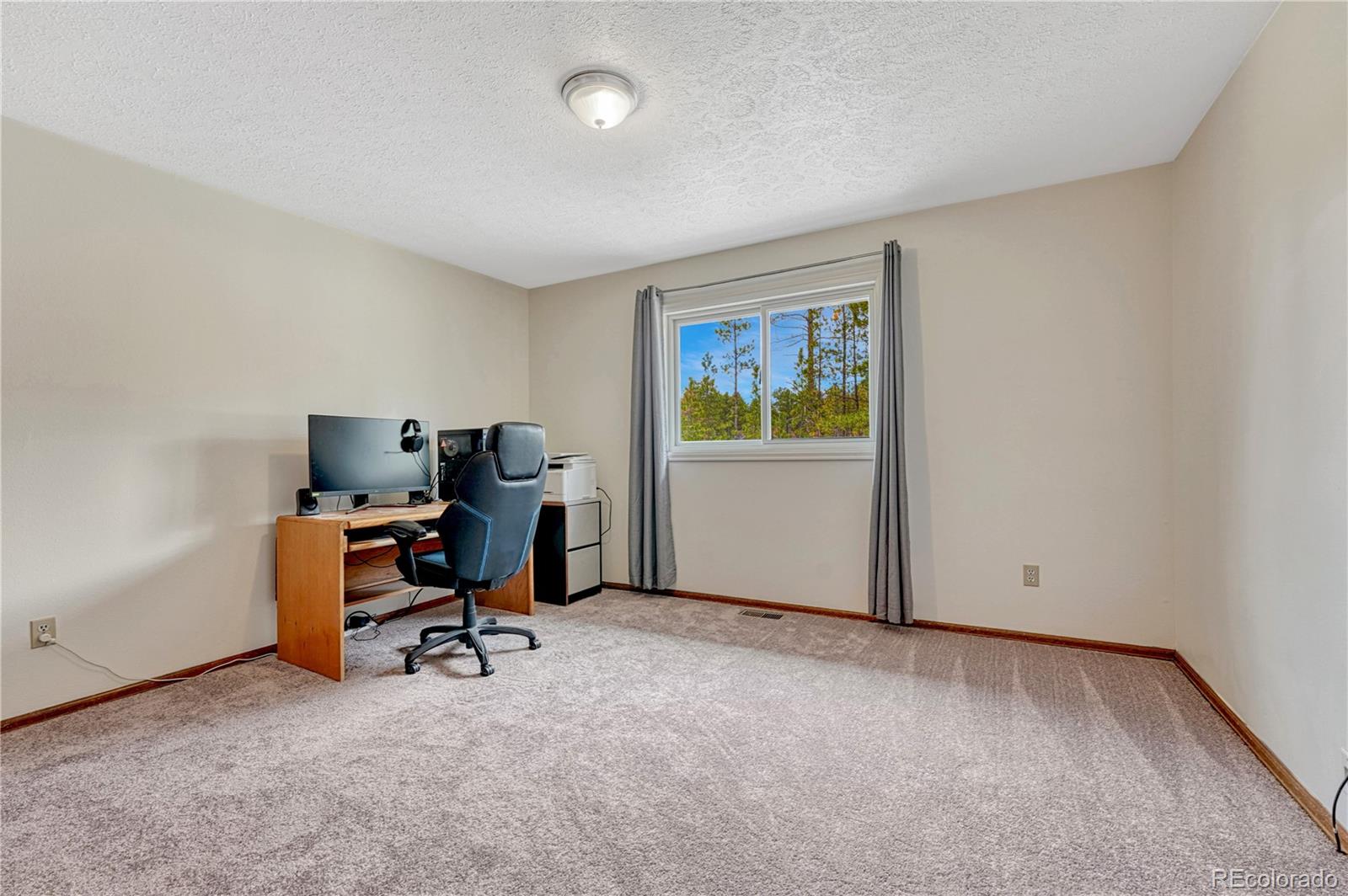 MLS Image #20 for 12475  hereford way,colorado springs, Colorado
