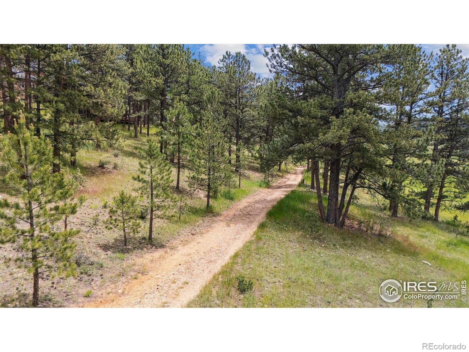 MLS Image #32 for 2023  mammoth court,evergreen, Colorado