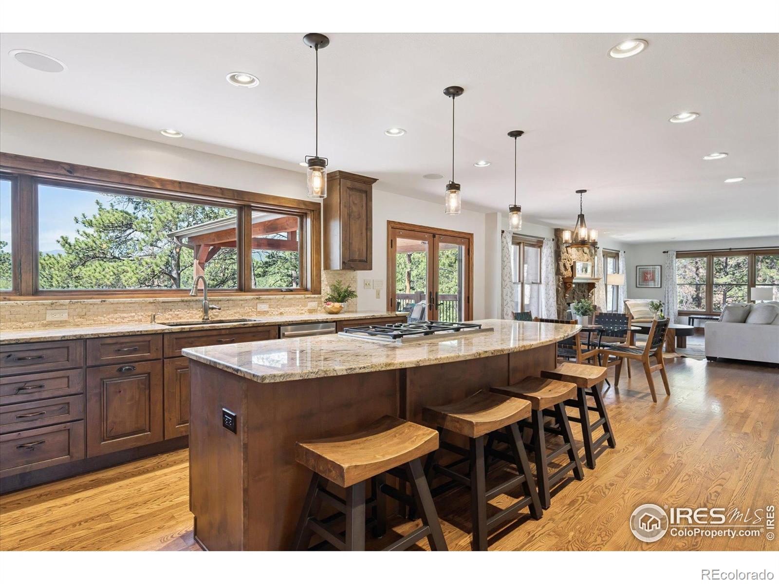MLS Image #9 for 2023  mammoth court,evergreen, Colorado