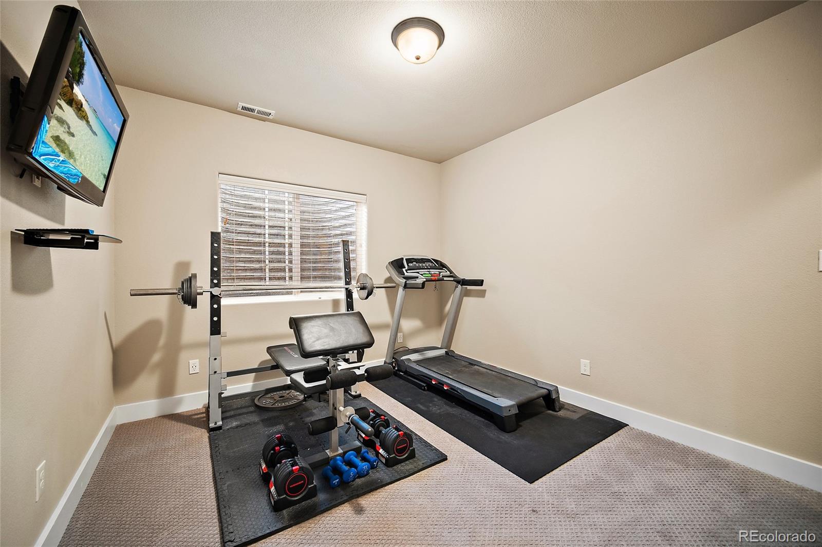 MLS Image #25 for 8348  needle drop court,colorado springs, Colorado