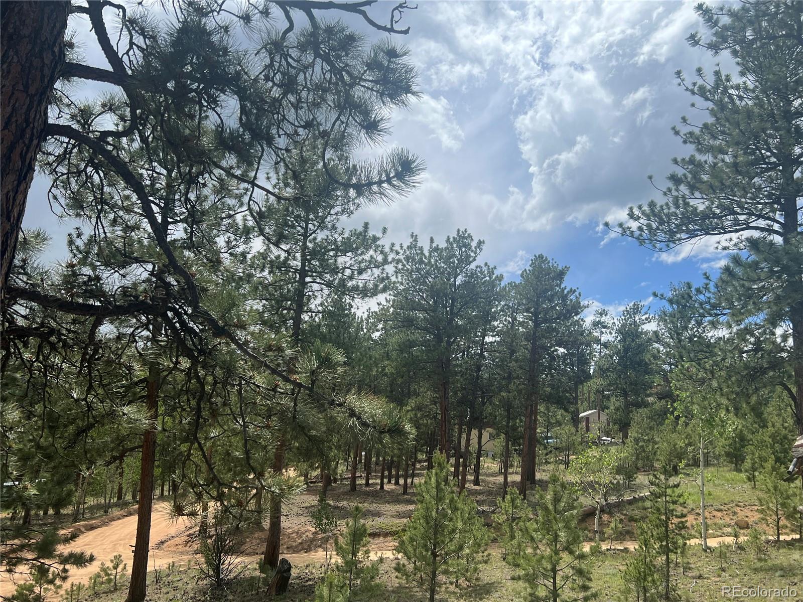MLS Image #23 for 187  johnson road,bailey, Colorado